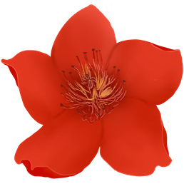 小红花音效助手v15.2.9