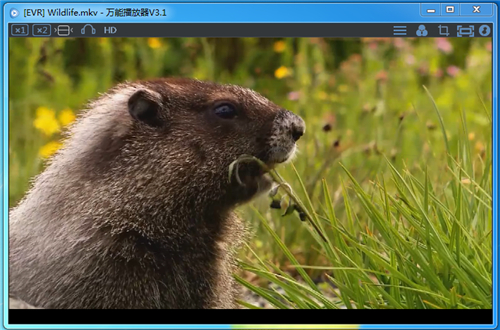 万能播放器wpalyer